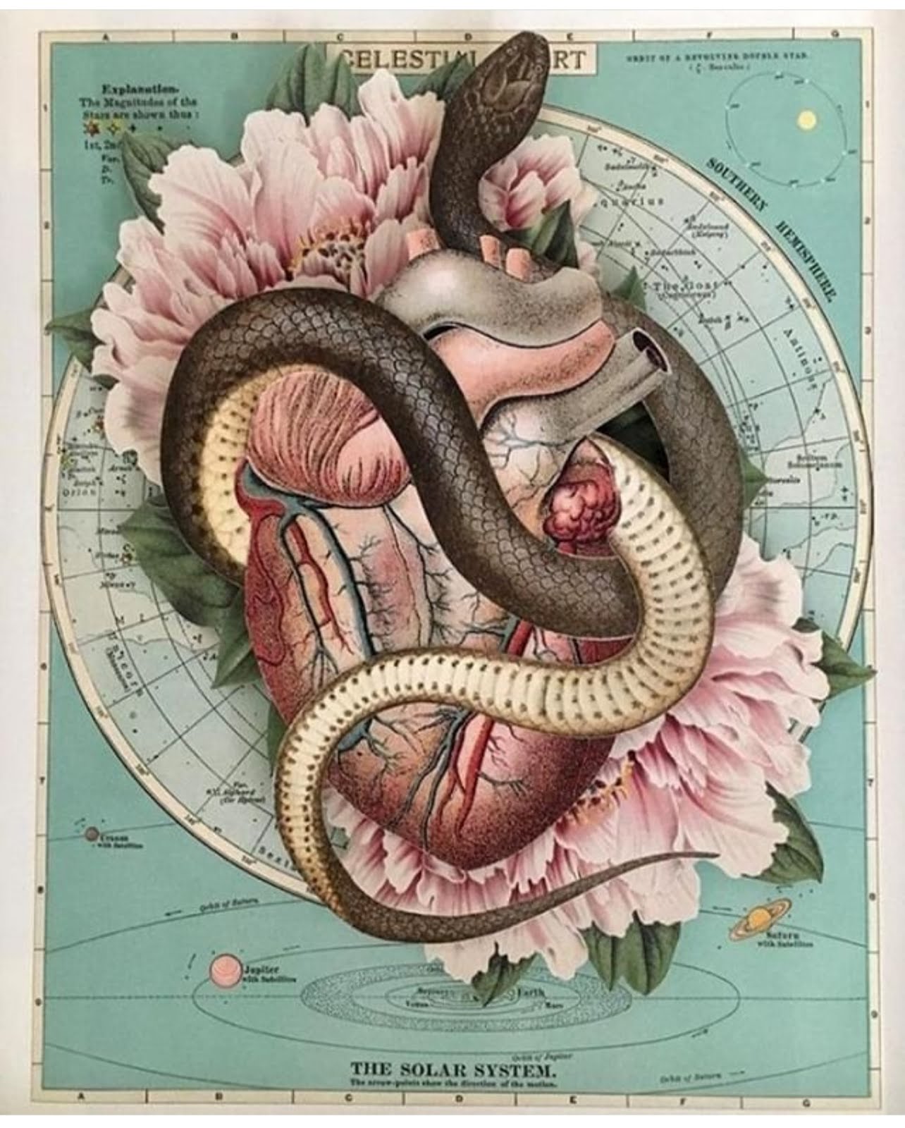 Сердце змеи решетка. Змея и сердце. Сердце у змей. Серпент рисунок. Принт змея на сердце.