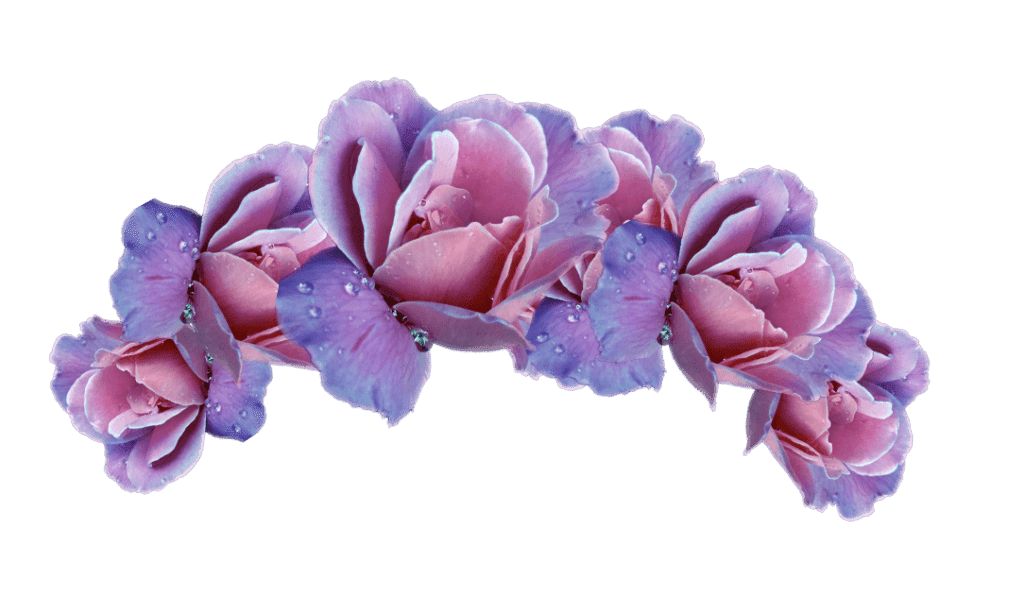 Png Coroa de flores