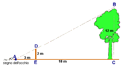 Come sapere quanto alto albero (metodi pratici)