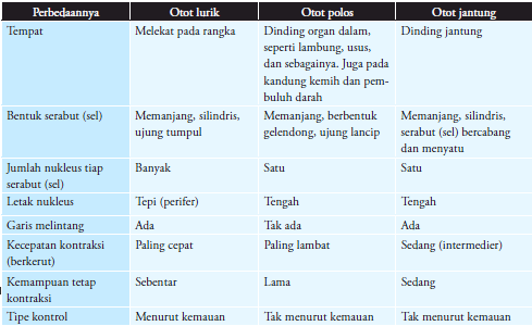 Jaringan Otot ~ studyscience( •̃͡-̮•)