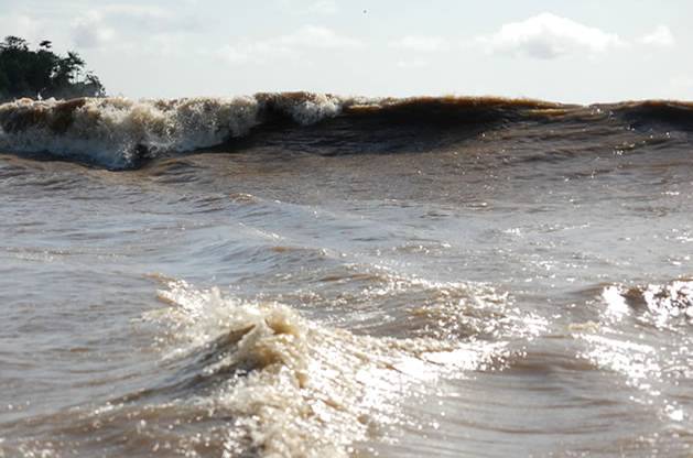 Прочитайте волна. Волна Поророка на Амазонке. Поророко Амазонка. Прилив на Амазонке. Самая длинная волна в мире Бразилия.