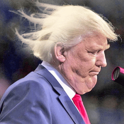 unflattering-donald-trump-chin-photo-ps-battle-36-583ecca015a1a__700.gif
