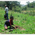 FCAG y Programa Mundial de Alimentos: aliados para las comunidades de la microcuenca Paladines :: Rosita Estéreo