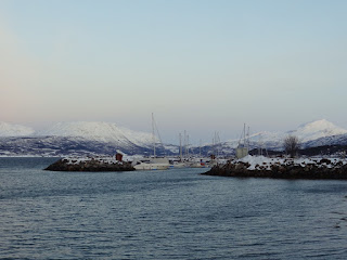 Norvège-Narvik-7