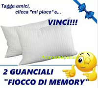 Tagga, clicca e vinci gratis 2 guanciali Fiocco di Memory Logo Tagga, clicca e vinci gratis 2 guanciali Fiocco di Memory