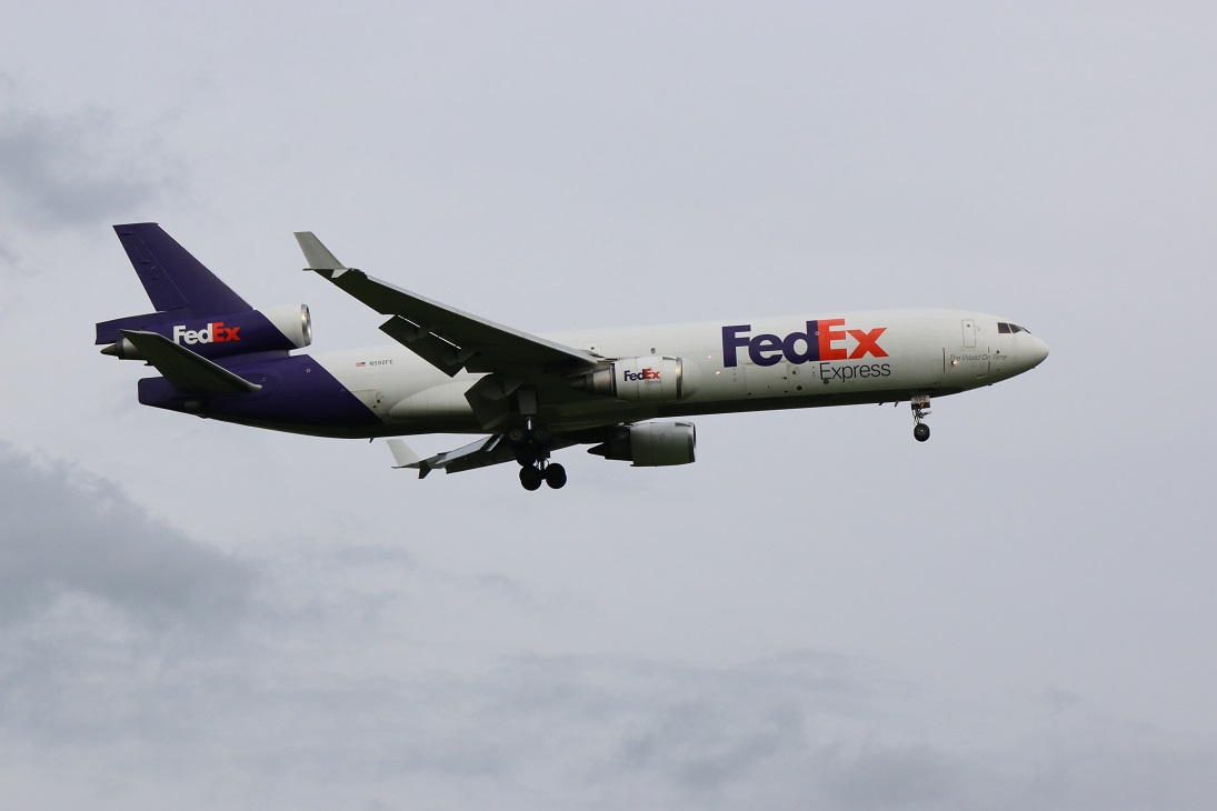 Does Fedex Fly Dogs