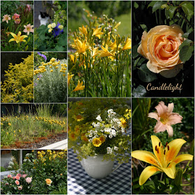 Ein Schweizer Garten 07 12
