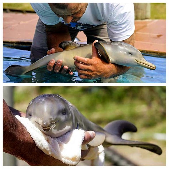 Funterest is the world of funny, interesting, amazing images and clips