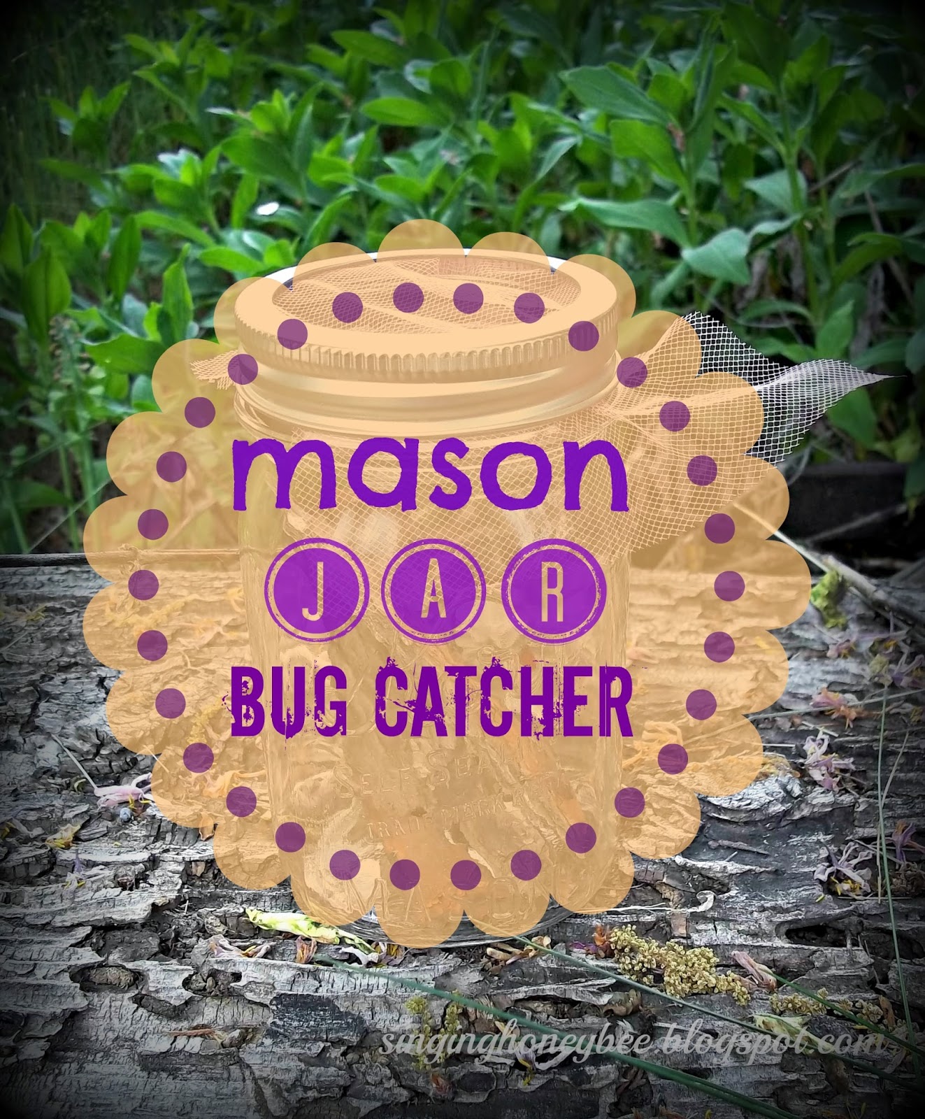 Singing Honey Bee Mason Jar Bug Catcher