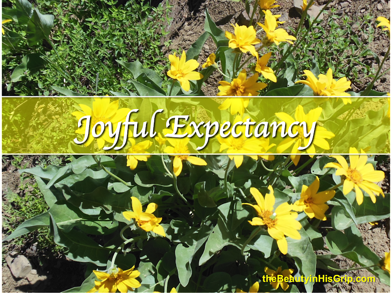 Joyful Expectancy