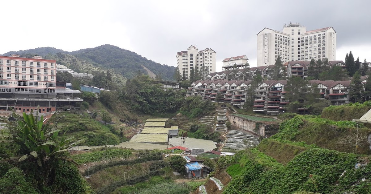 Pasar Malam Cameron Highlands sempena Cuti