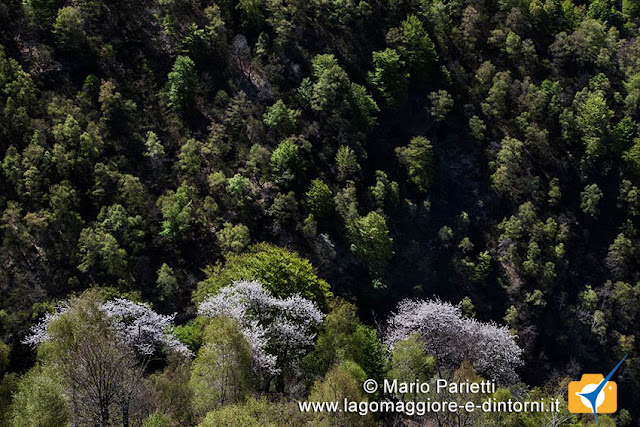 I colori di primavera I colori di primavera