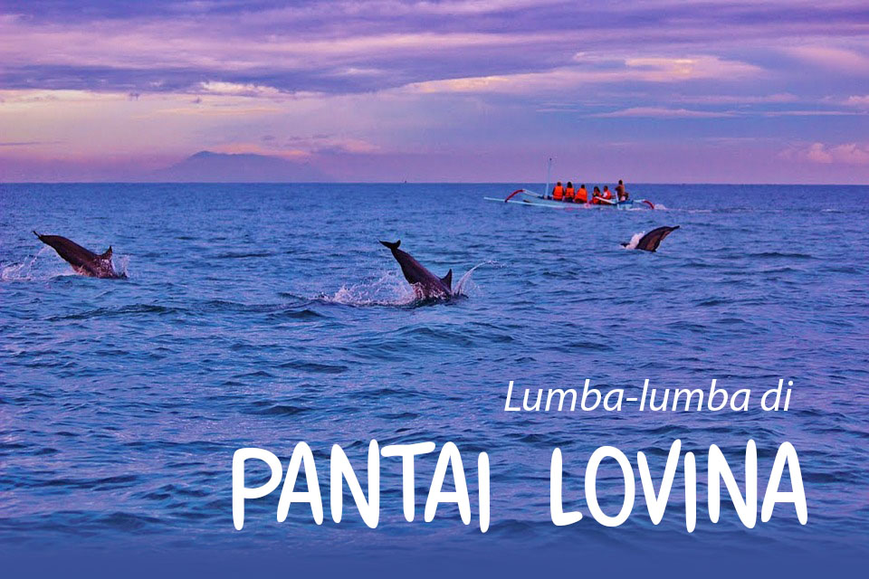 Lihat Lumba-Lumba di Pantai Lovina Bali, persewaan mobil di Bali, wisata pantai di Bali, lokasi wisata Bali, biaya tarif ke Pantai Lovina, biaya sewa perahu nelayan