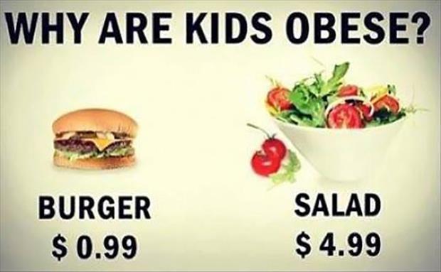 Quotes To Stop Eating Junk Food Quotes To Stop Eating Junk Food
