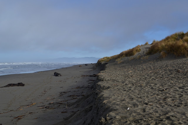 edge between dunes and beach