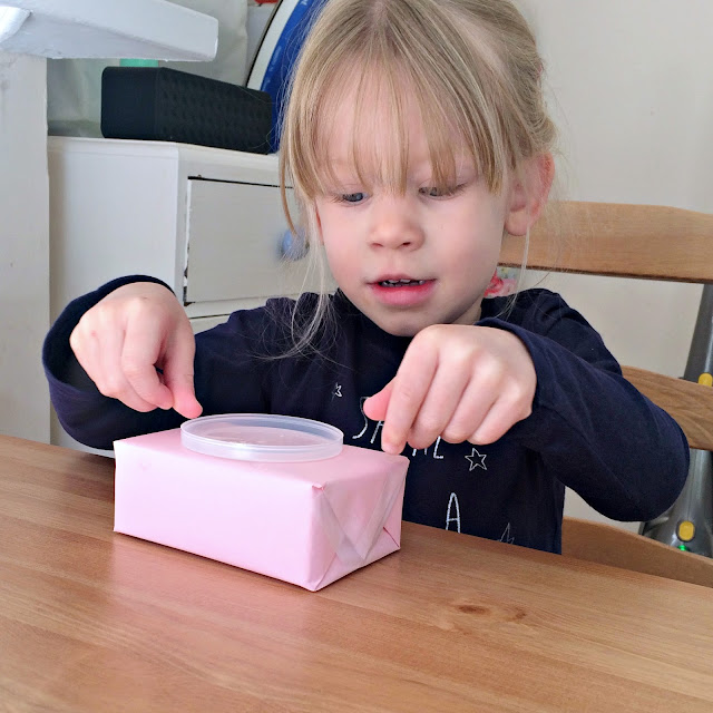 We made... Cereal Box Cameras! Our Cherry Tree