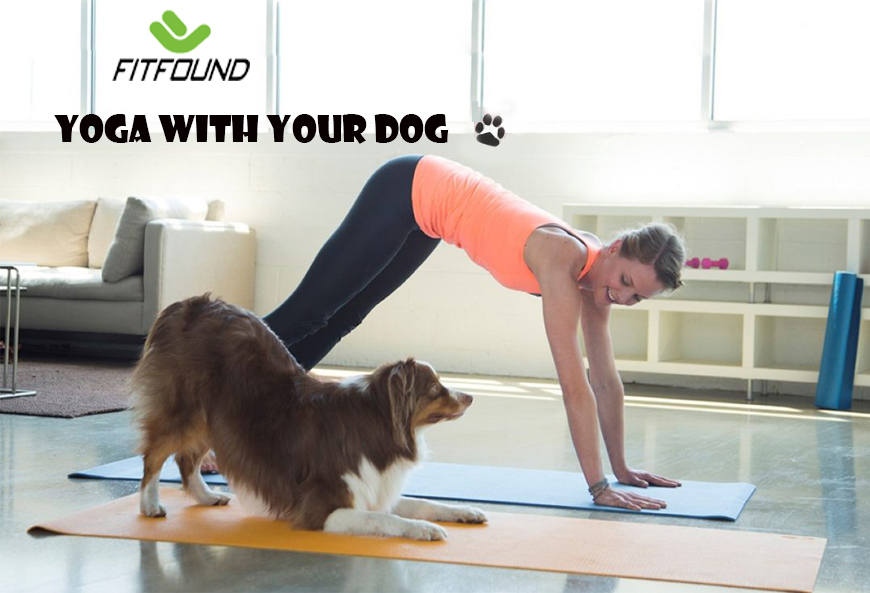 3 Cách tập Yoga với chú chó của bạn 3-cach-tap-yoga-cho-chu-cho-cua-ban