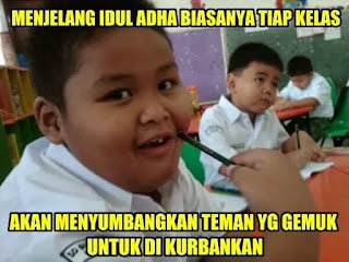 Koleksi Gambar Meme Foto Lucu dan Unik Idul Adha Koleksi Gambar Meme Foto Lucu dan Unik Idul Adha