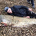 Un homme pêche un monstre long de plus de 2 mètres!