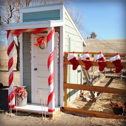 christmas coop decorations outside hen decor tulle holiday decorate chickens coops left last canes candy outdoor touches duh worked weekend