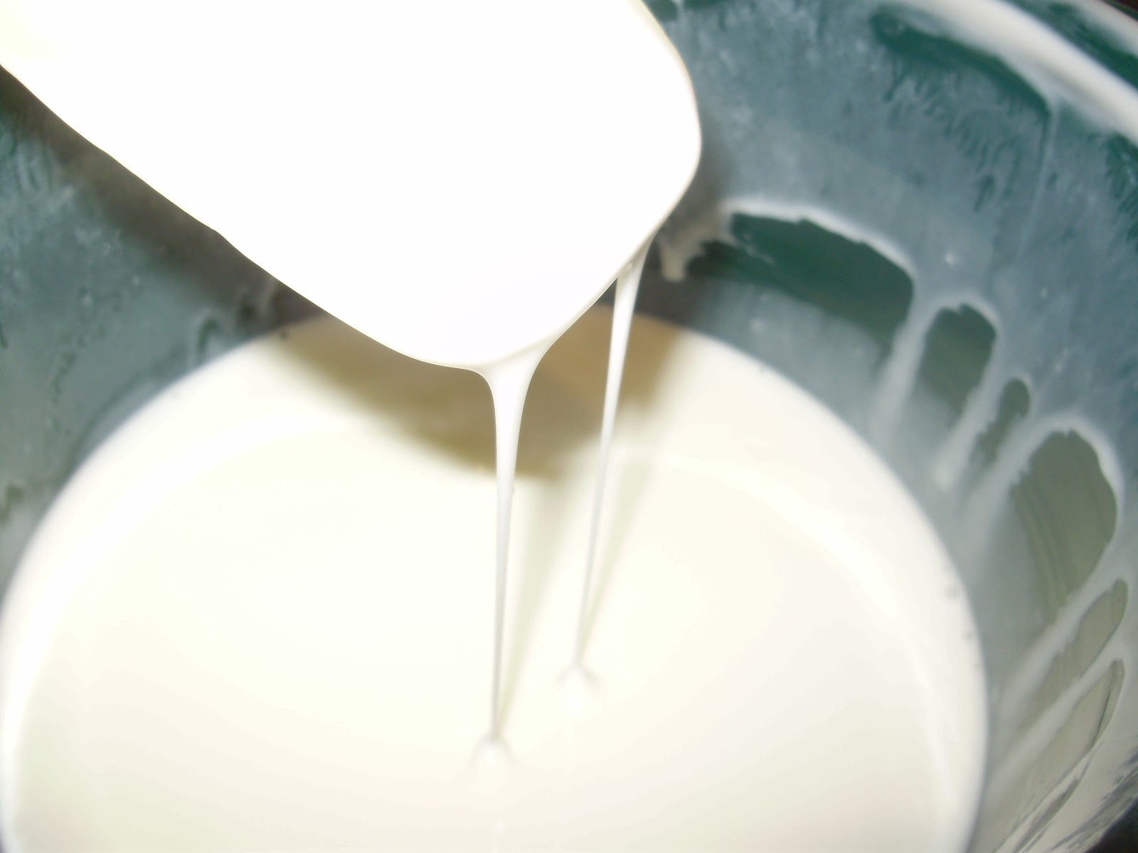 The Dearie's NotSoDailies My Experiment of Homemade Yogurt