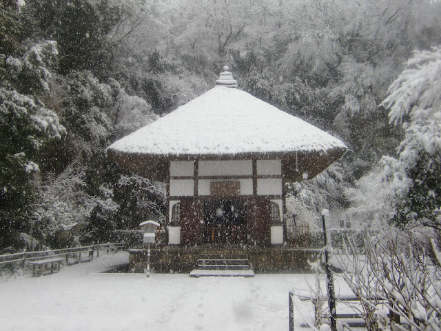 ��̖����@