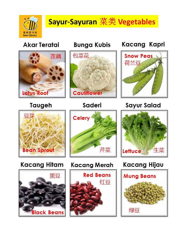 Bee Library Kamus Bergambar Jenis Sayur Sayuran
