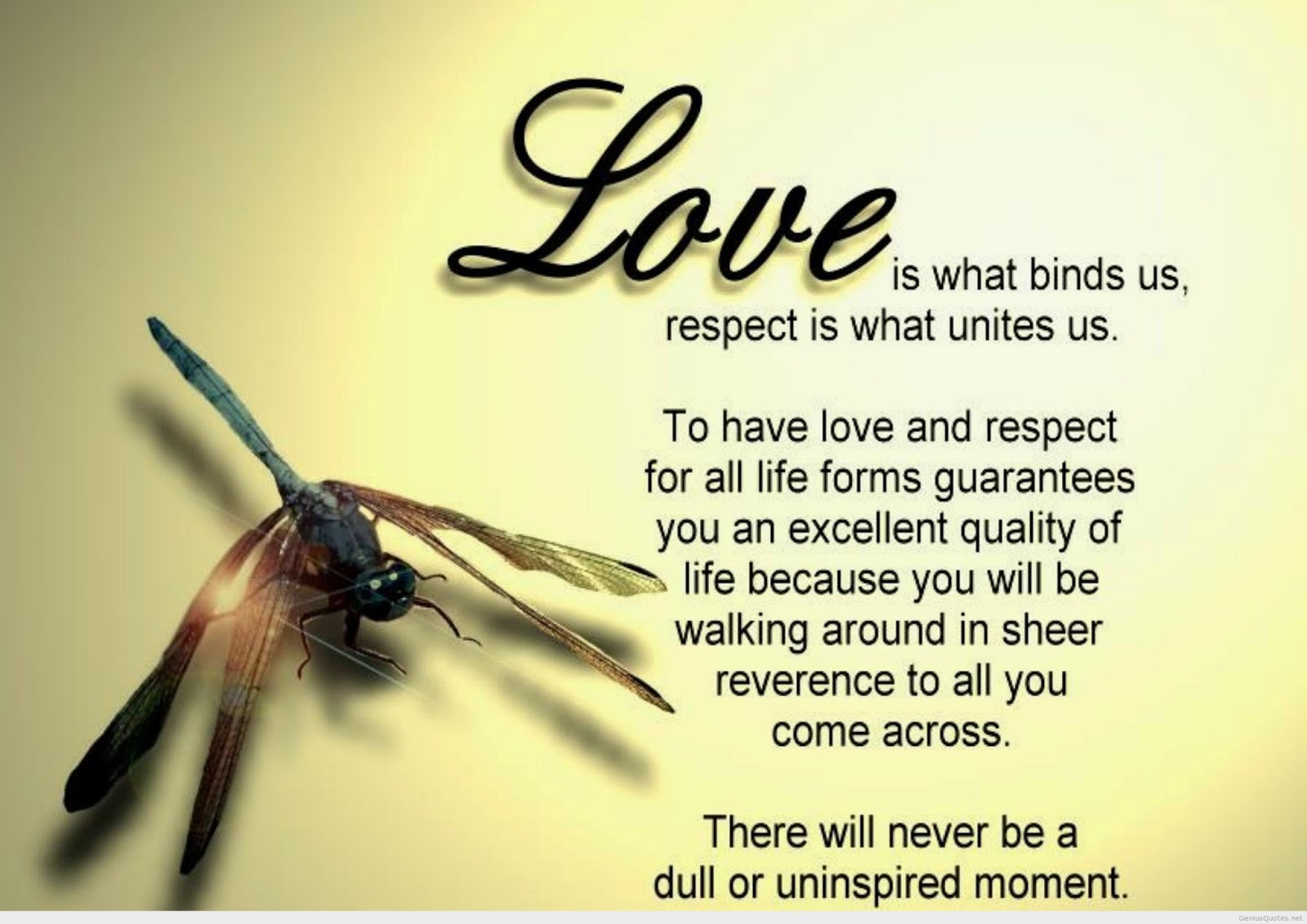 Most Beautiful LOVE Quotes HD
