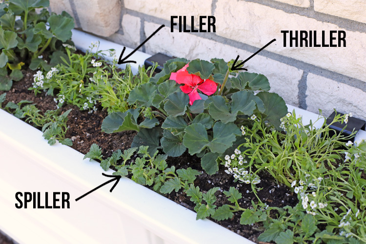The Craft Patch The Best Flowers for Window Boxes and How To Install A