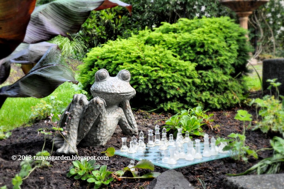 MySecretGarden My Open Garden 2014