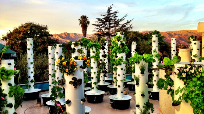 Cultivos aeropónicos : Jardines verticales y cubiertas vegetales