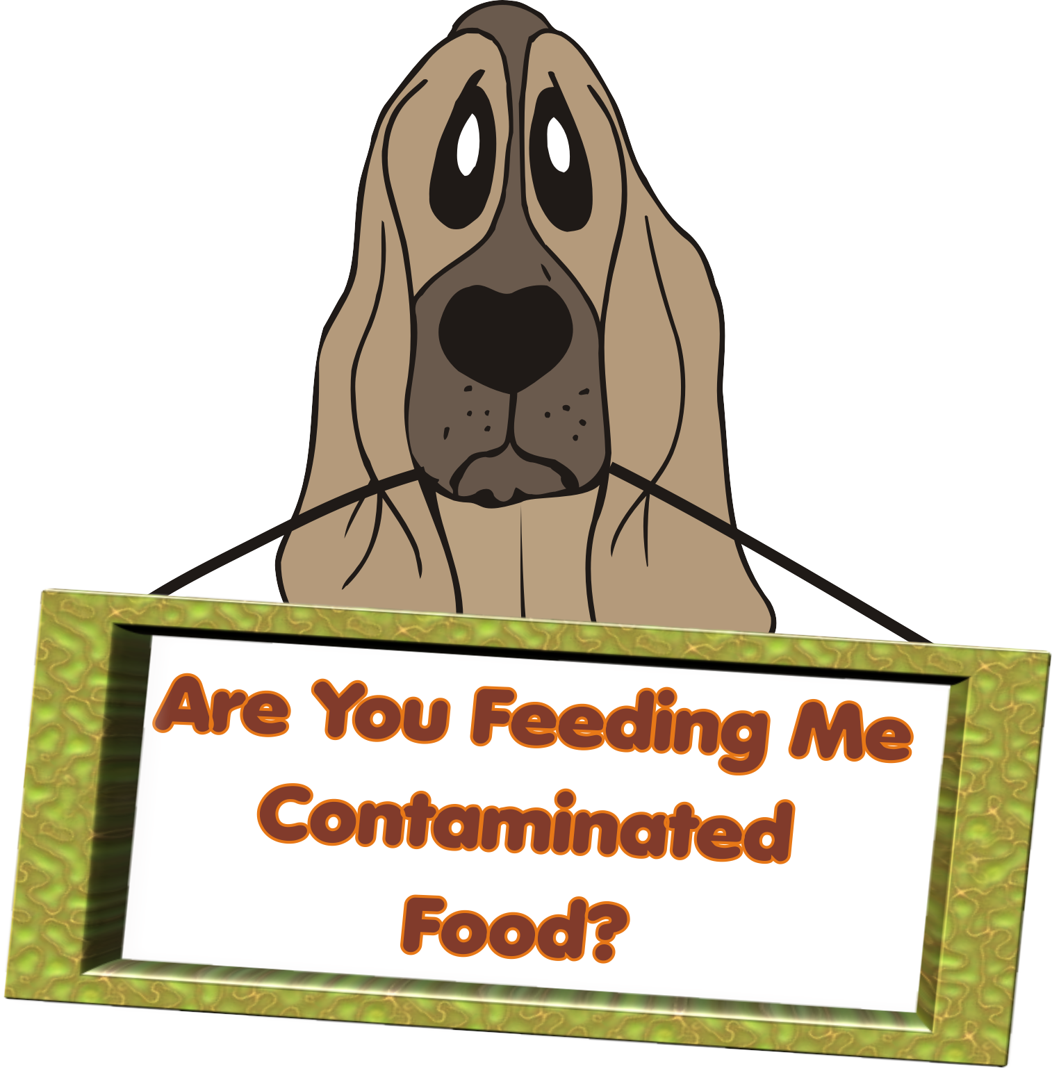 Healthy Food For Dogs Homemade Recipes. Pet Training Academy