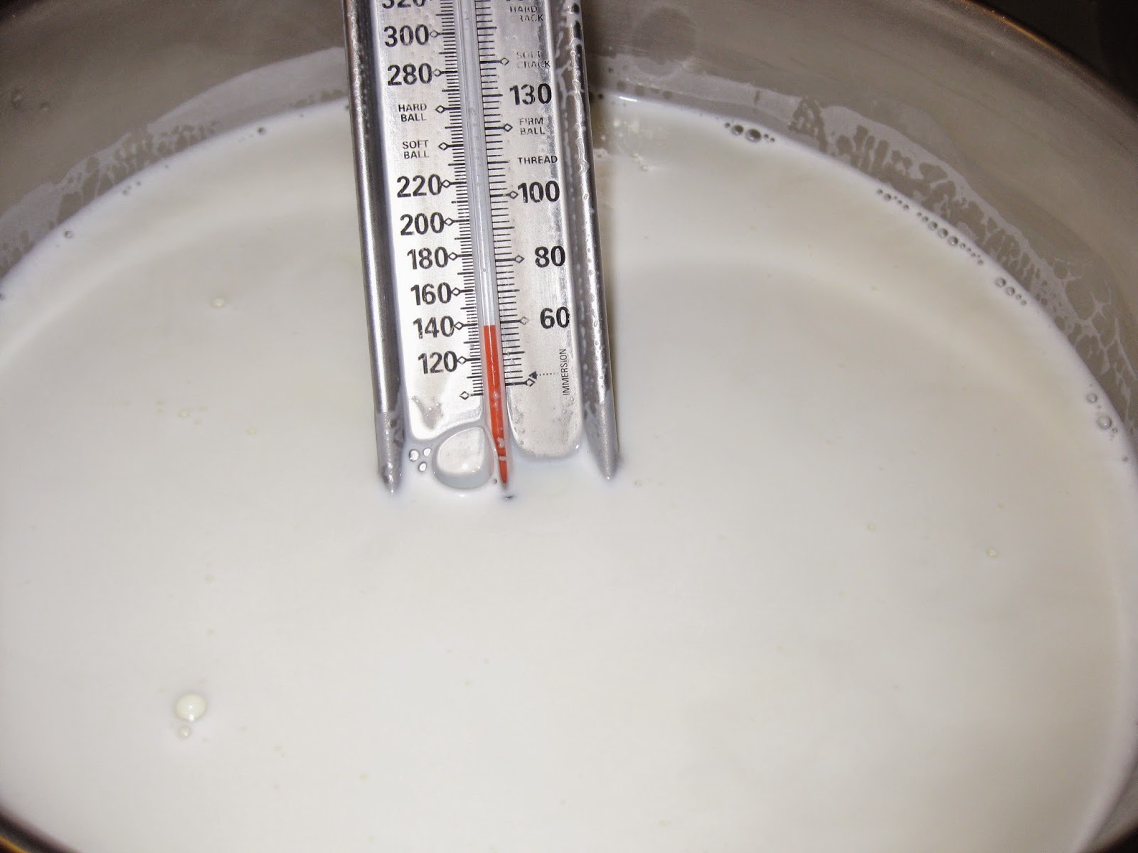 The Homesteading Diary 2015