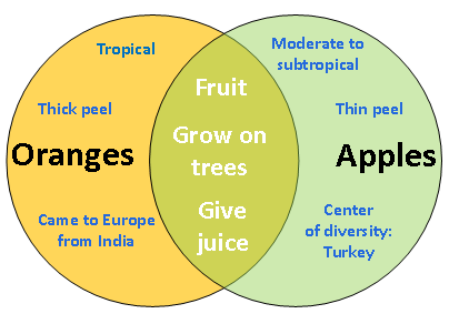 example of a comparison and contrast essay
