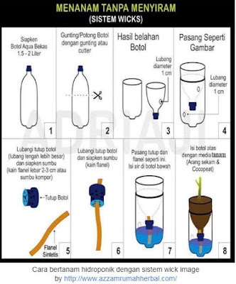 Teknik Cara Bertanam Hidroponik Bagi Pemula Teknik Cara Bertanam Hidroponik Bagi Pemula