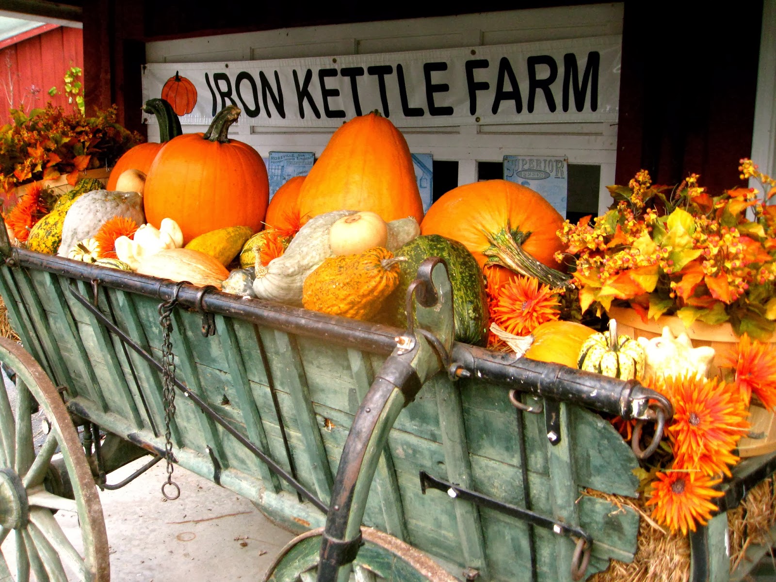 365 Binghamton 1 Iron Kettle Farm