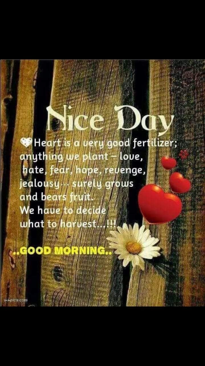 good night cute images