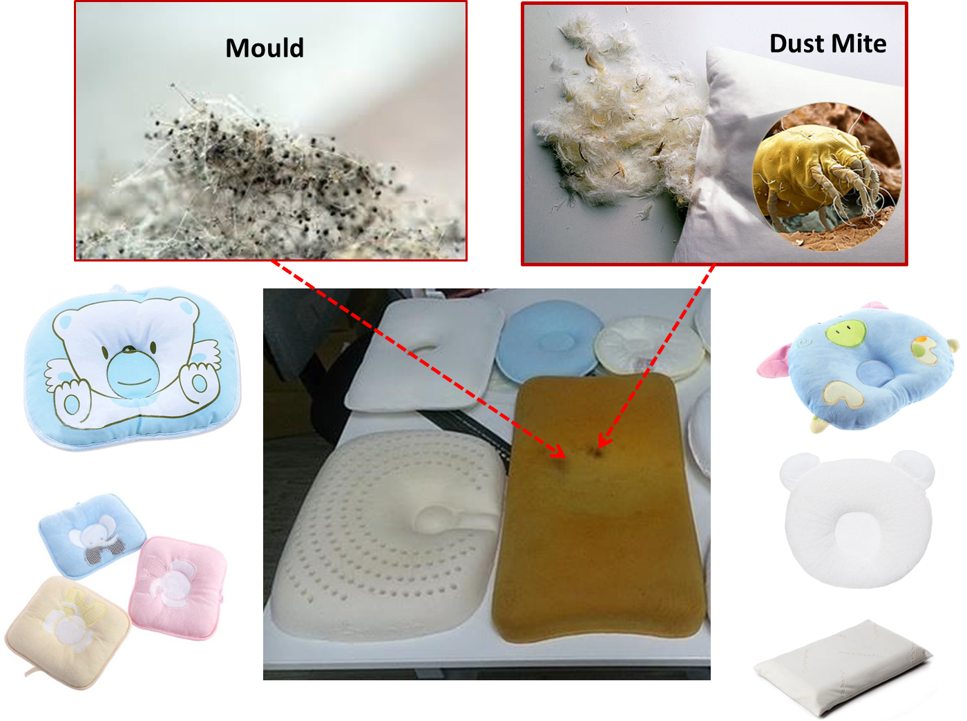 Baby Pillow Gold Standard Cheap Baby Pillow Grow Mould and Dust Mite