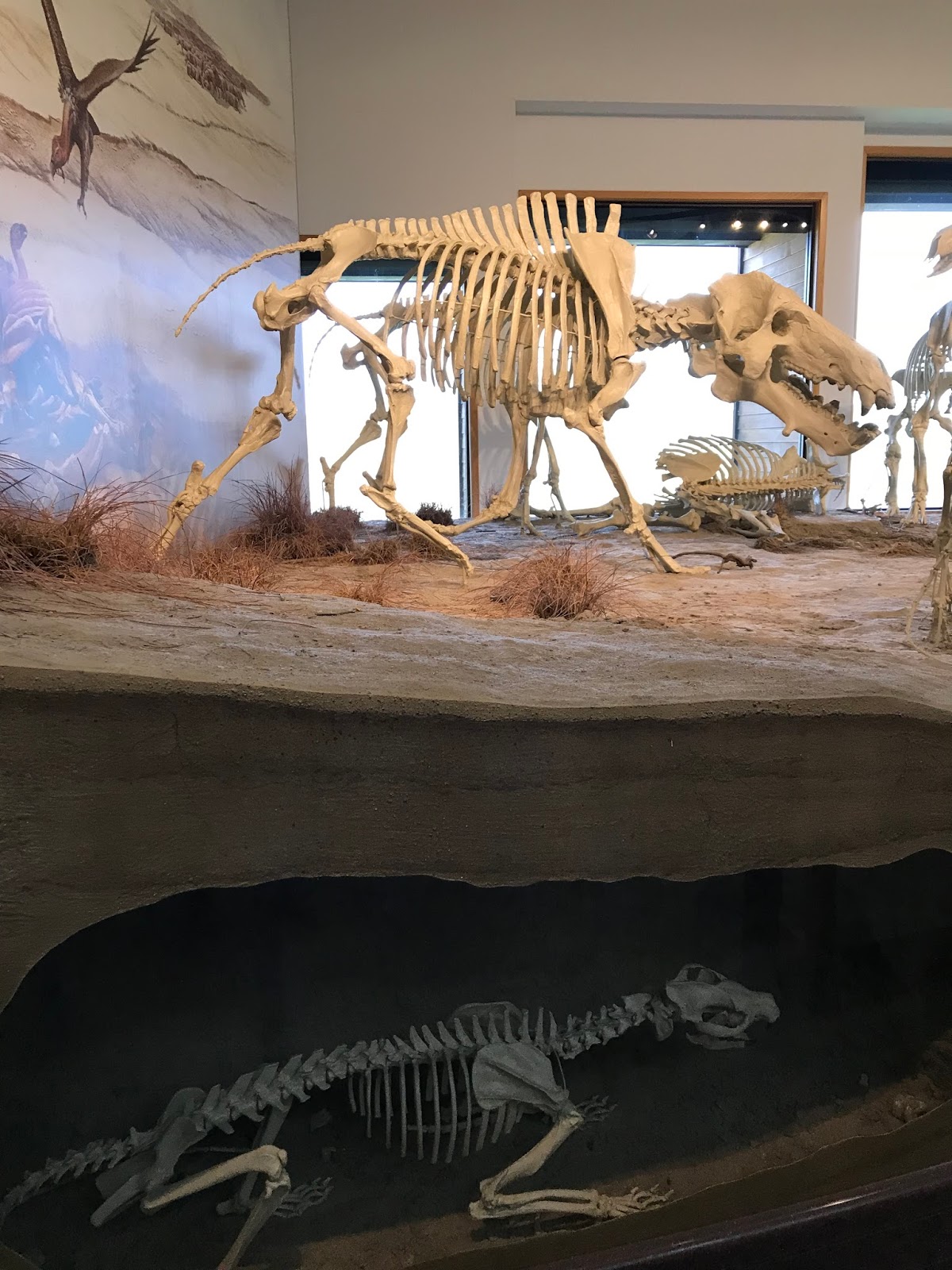 Two Utah Gypsies RVing National Sites in the US Agate Fossil Beds National Monument and James