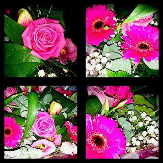 flowers, 