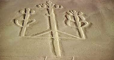 Viajá Conmigo....: PERU - Paracas