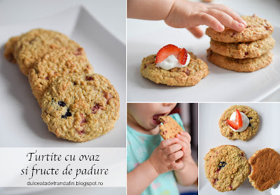 Turtite cu ovaz si fructe de padure