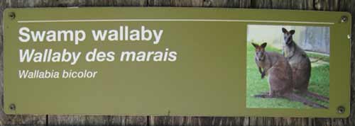 Swamp Wallaby (Sign)
