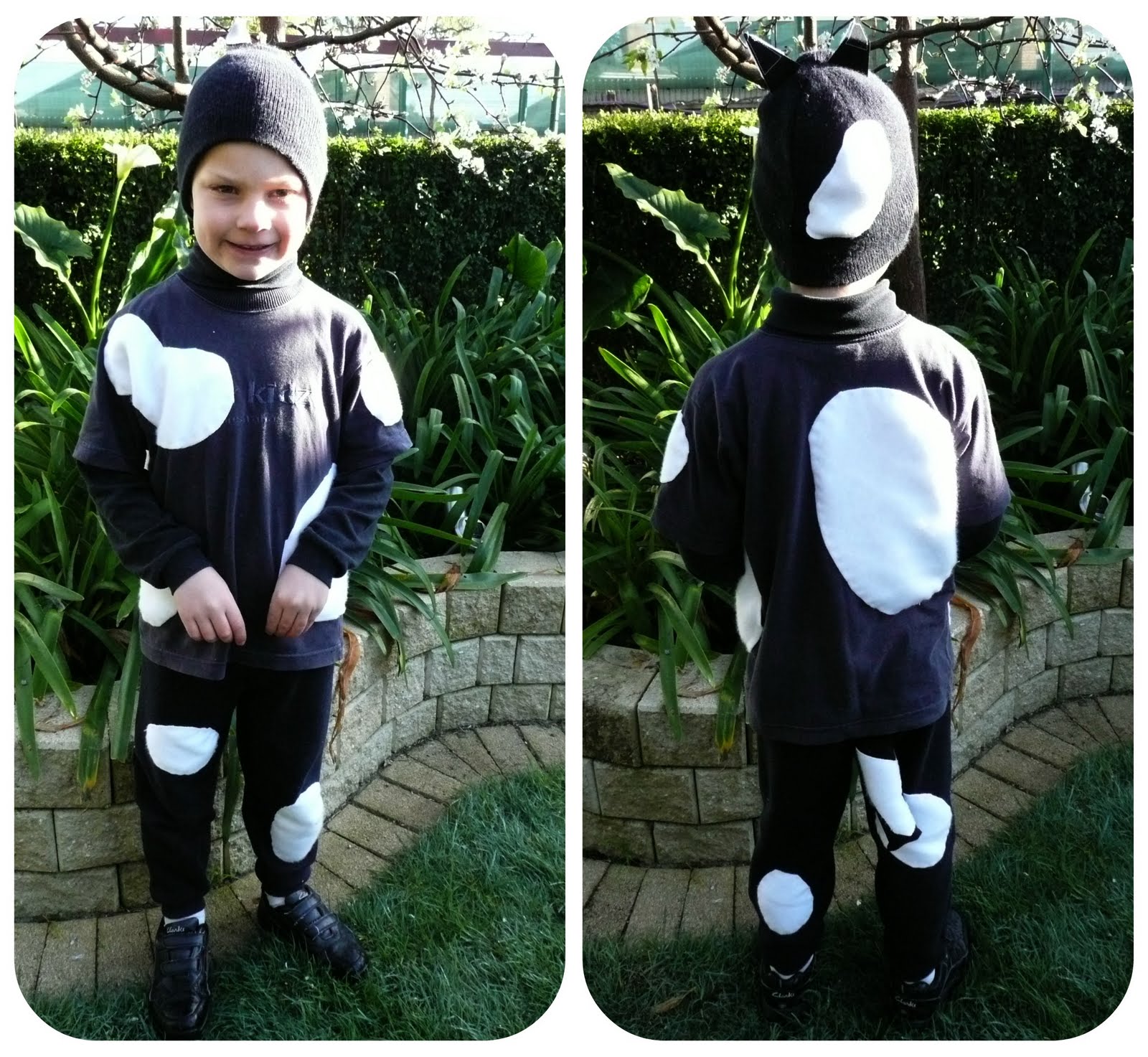 ZippyZippy Book Week Dress Up Harry The Dirty Dog