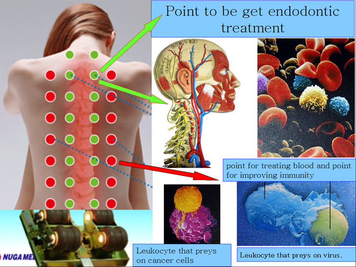 Nuga best health benefits