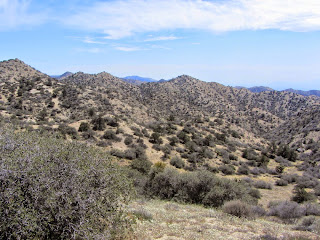 View southeast from Panorama Loop ridgeline, Black Rock Canyon, Joshua Tree National Park
