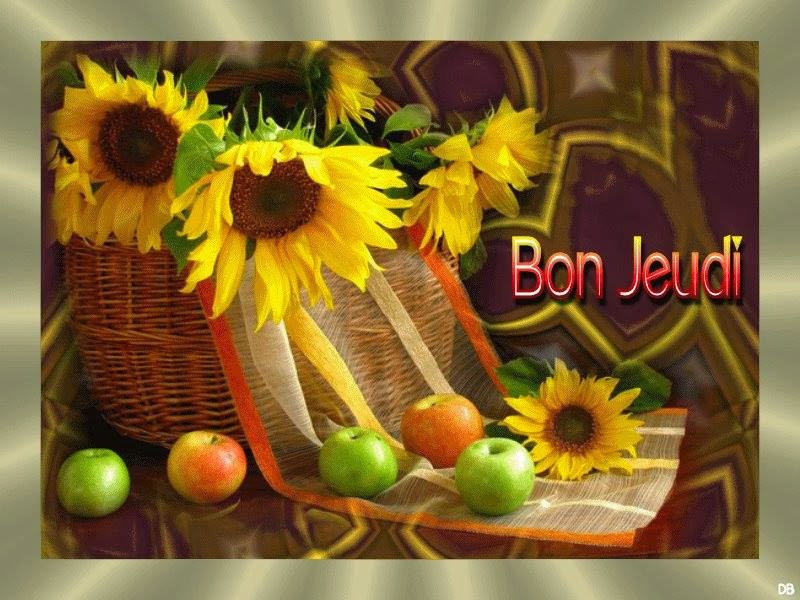 Afficher l�image source