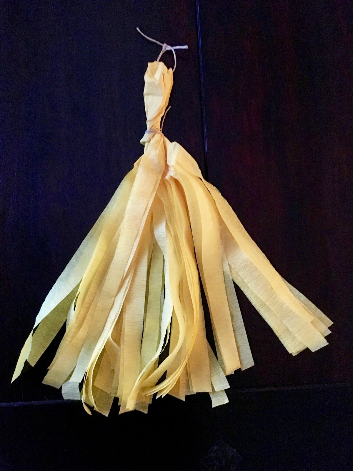 Crafty Texas Girls DIY Crepe Paper Tassel Garland