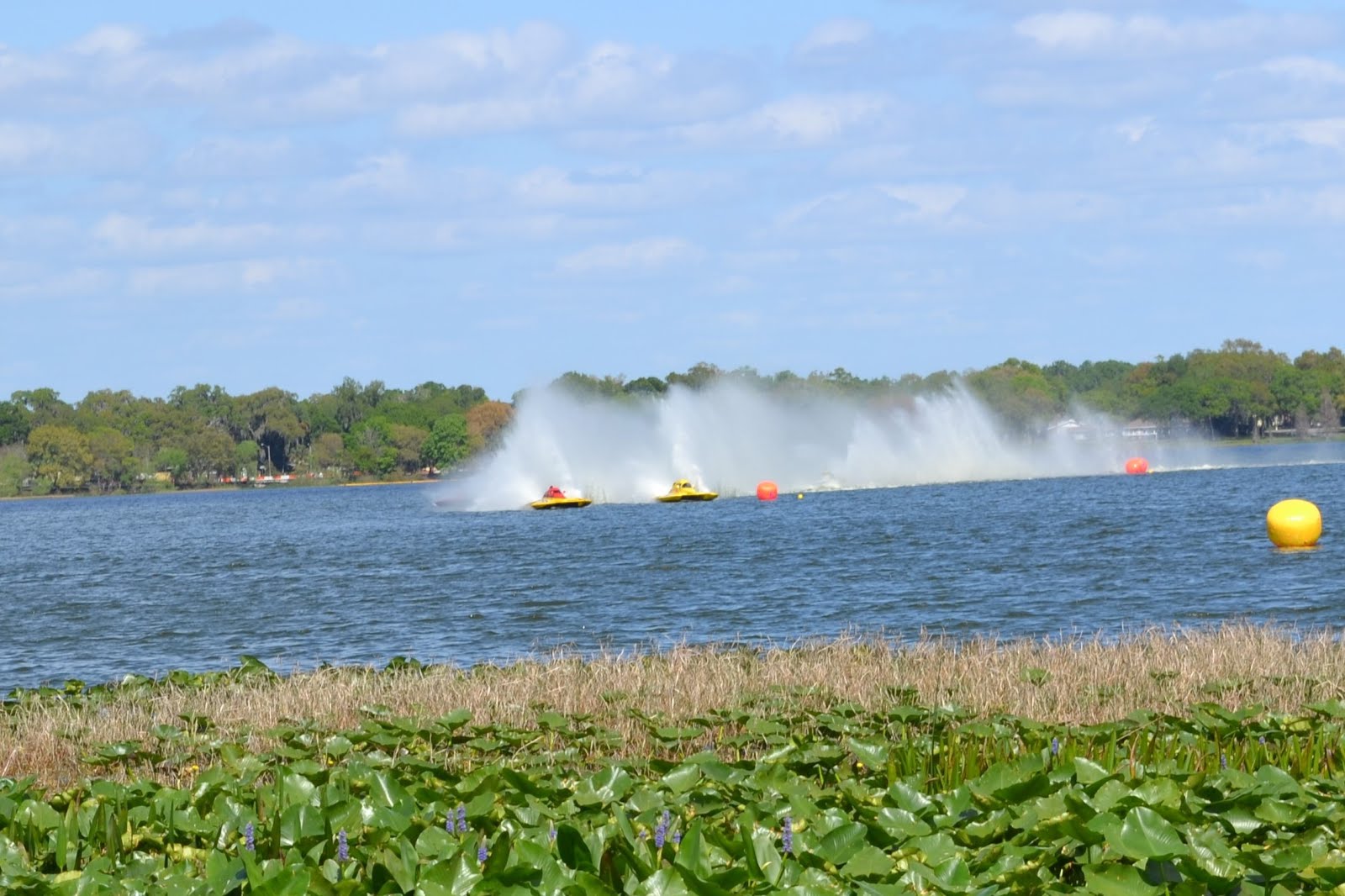 Lake Hollingsworth Boat Races