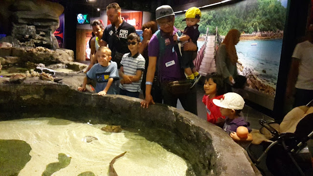PELANCARAN DAN PERASMIAN SCOTT'S DHA GUMMIES DI AQUARIA KLCC PELANCARAN DAN PERASMIAN SCOTT'S DHA GUMMIES DI AQUARIA KLCC